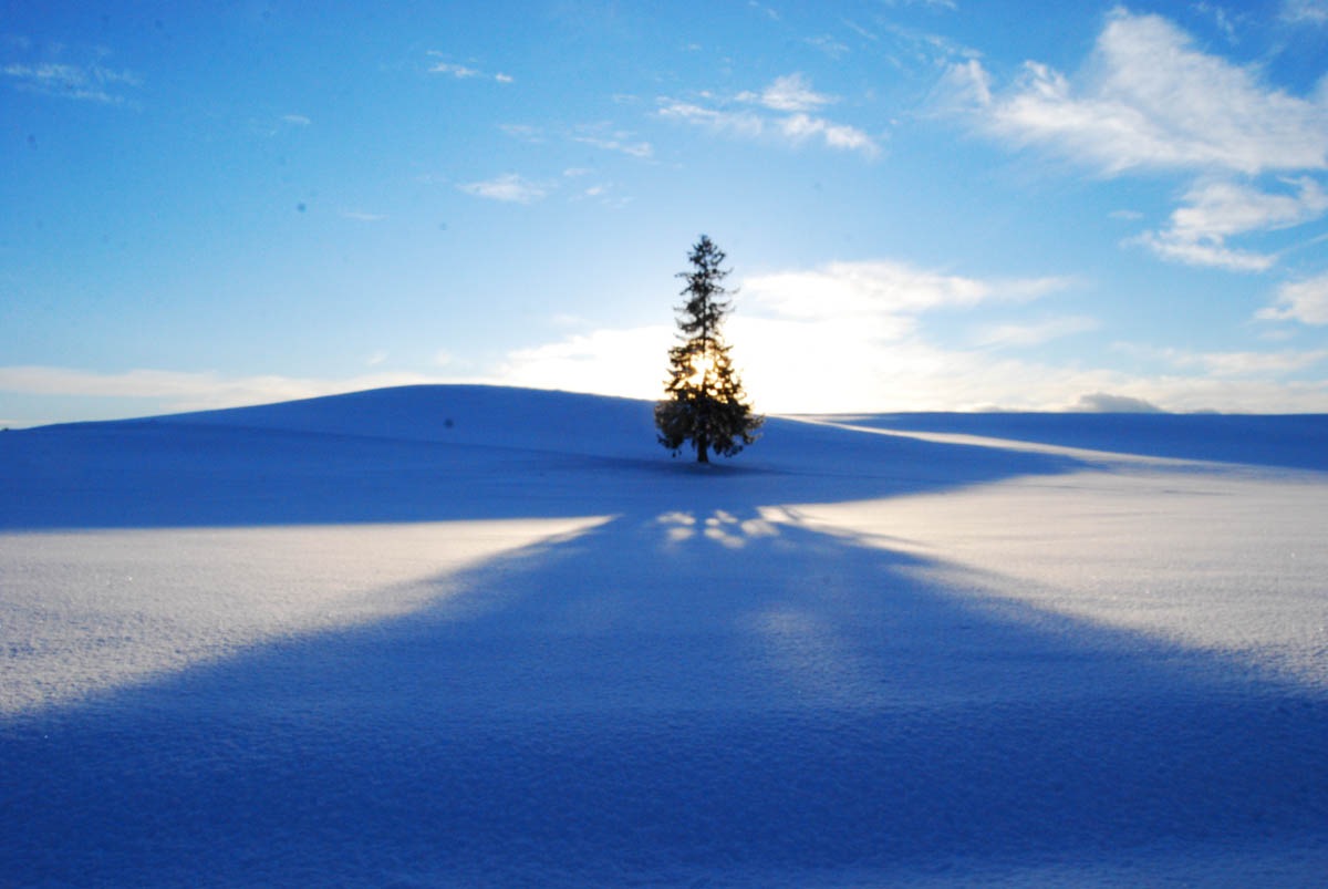 Japanese Countryside Experience Japan snow scenery of Hokkaido