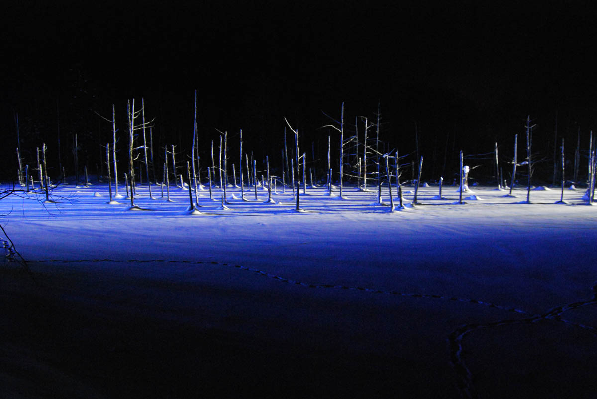 Japanese Countryside 