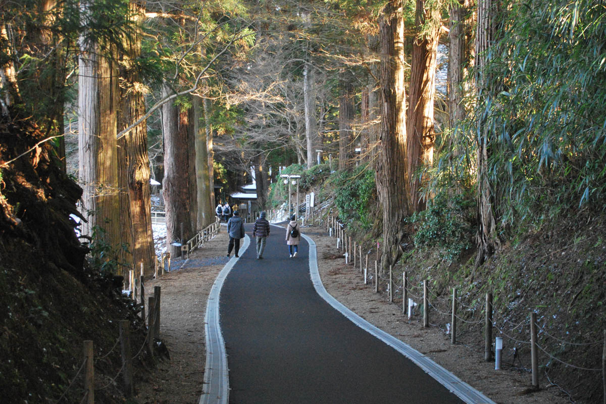 Forest bathing journey Chusonji Temple and its approach